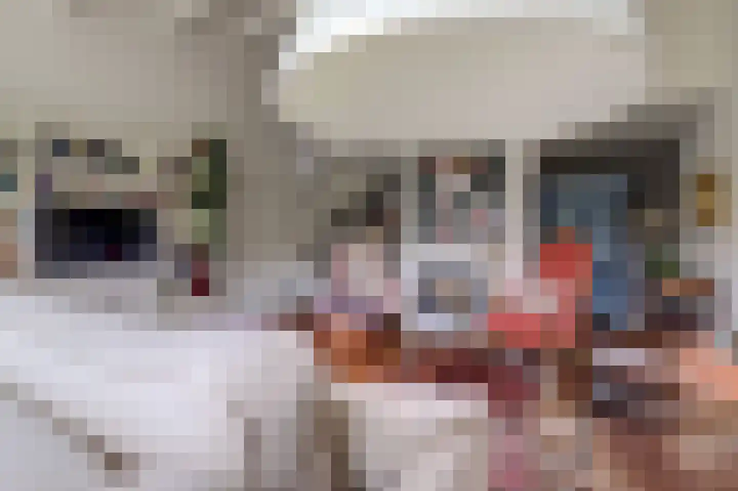 Neptunushof 11 Kerkdriel thumbnail 7