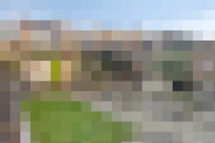 Neptunushof 11 Krimpen aan de Lek foto 2