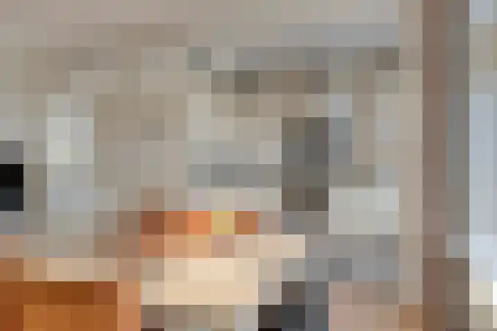 Neptunushof 11 Krimpen aan de Lek thumbnail 21
