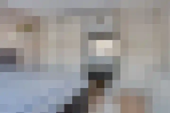 Neptunushof 11 Krimpen aan de Lek thumbnail 28