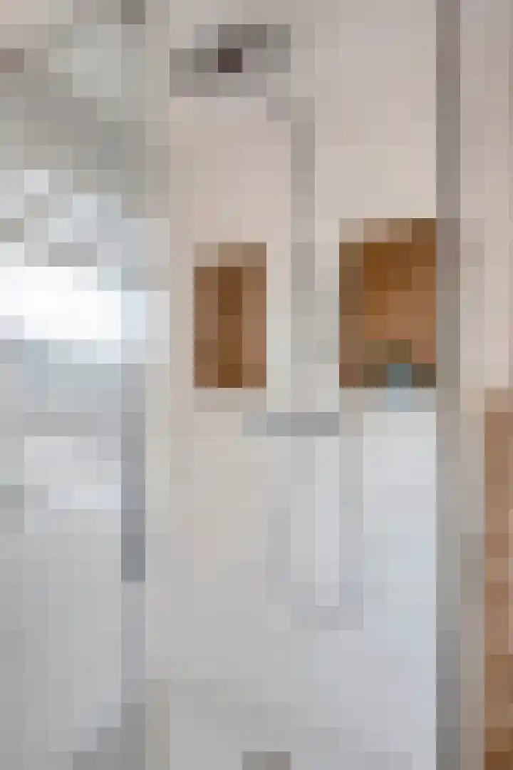 Neptunushof 11 Krimpen aan de Lek thumbnail 31