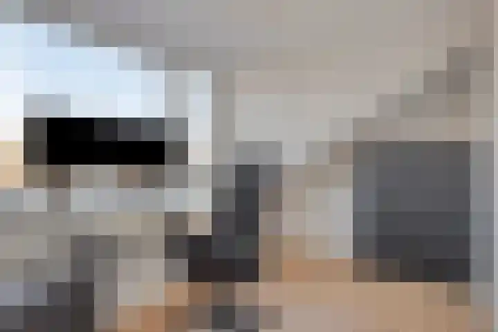 Neptunushof 11 Krimpen aan de Lek thumbnail 38