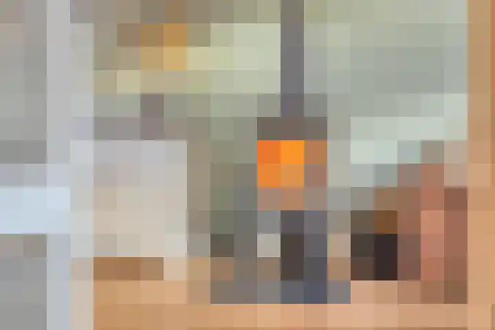 Neptunushof 11 Krimpen aan de Lek thumbnail 4