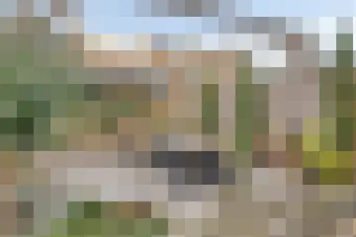 Neptunushof 11 Krimpen aan de Lek thumbnail 42