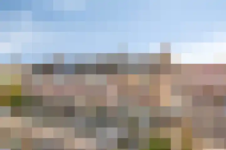 Neptunushof 11 Krimpen aan de Lek thumbnail 49