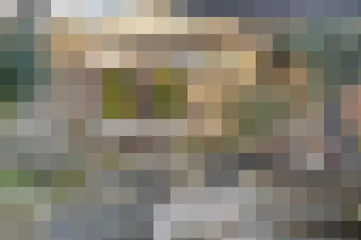 Neptunushof 11 Krimpen aan de Lek thumbnail 51