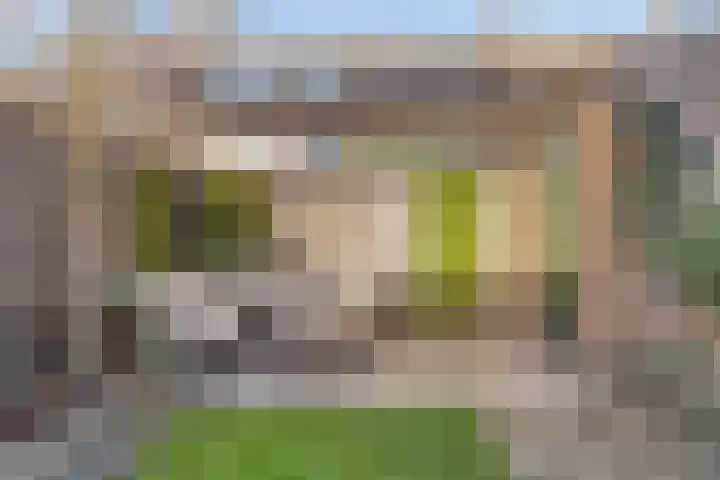 Neptunushof 11 Krimpen aan de Lek thumbnail 52