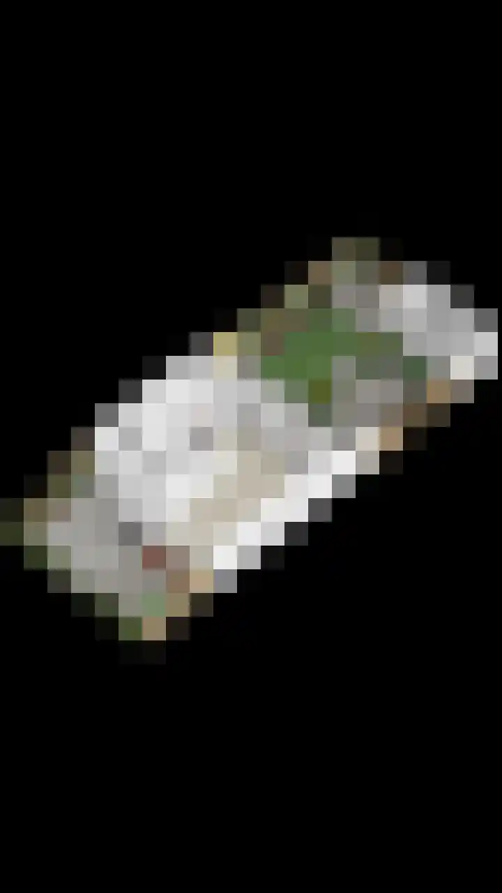 Neptunushof 11 Krimpen aan de Lek thumbnail 54