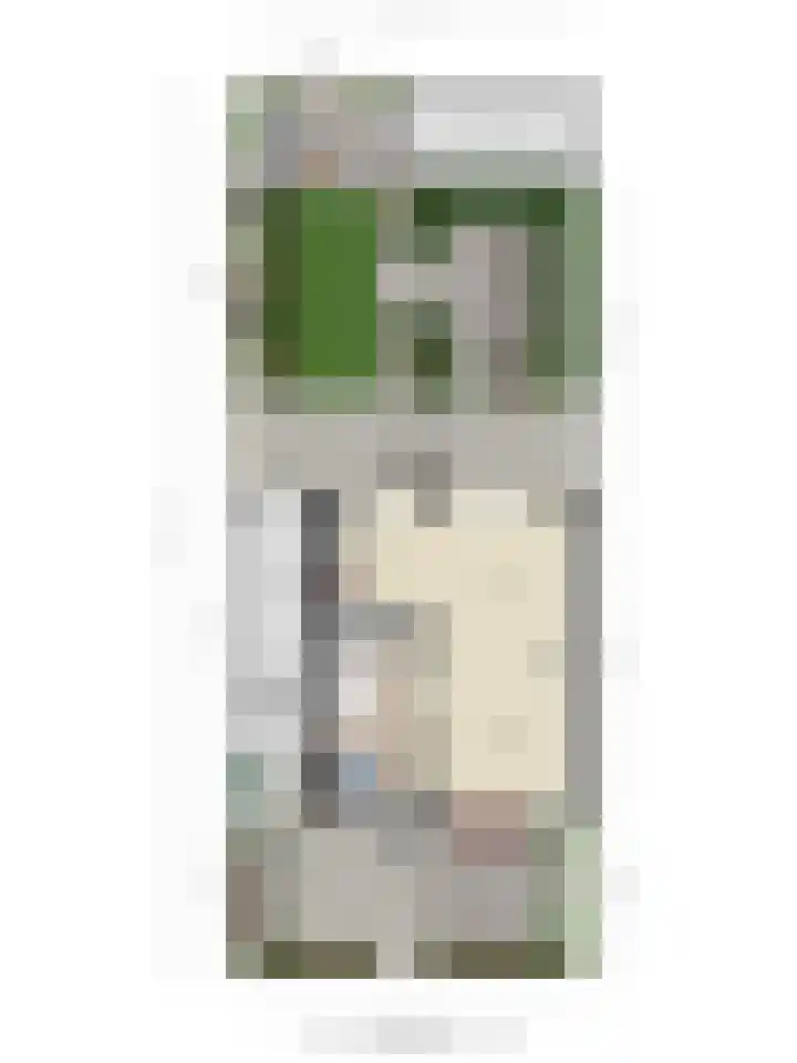 Neptunushof 11 Krimpen aan de Lek thumbnail 57
