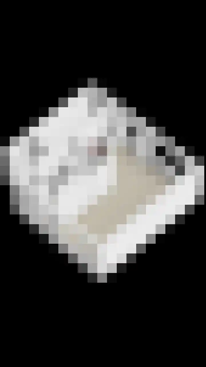 Neptunushof 11 Krimpen aan de Lek thumbnail 63