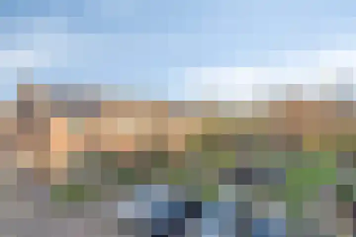 Neptunushof 11 Krimpen aan de Lek thumbnail 7