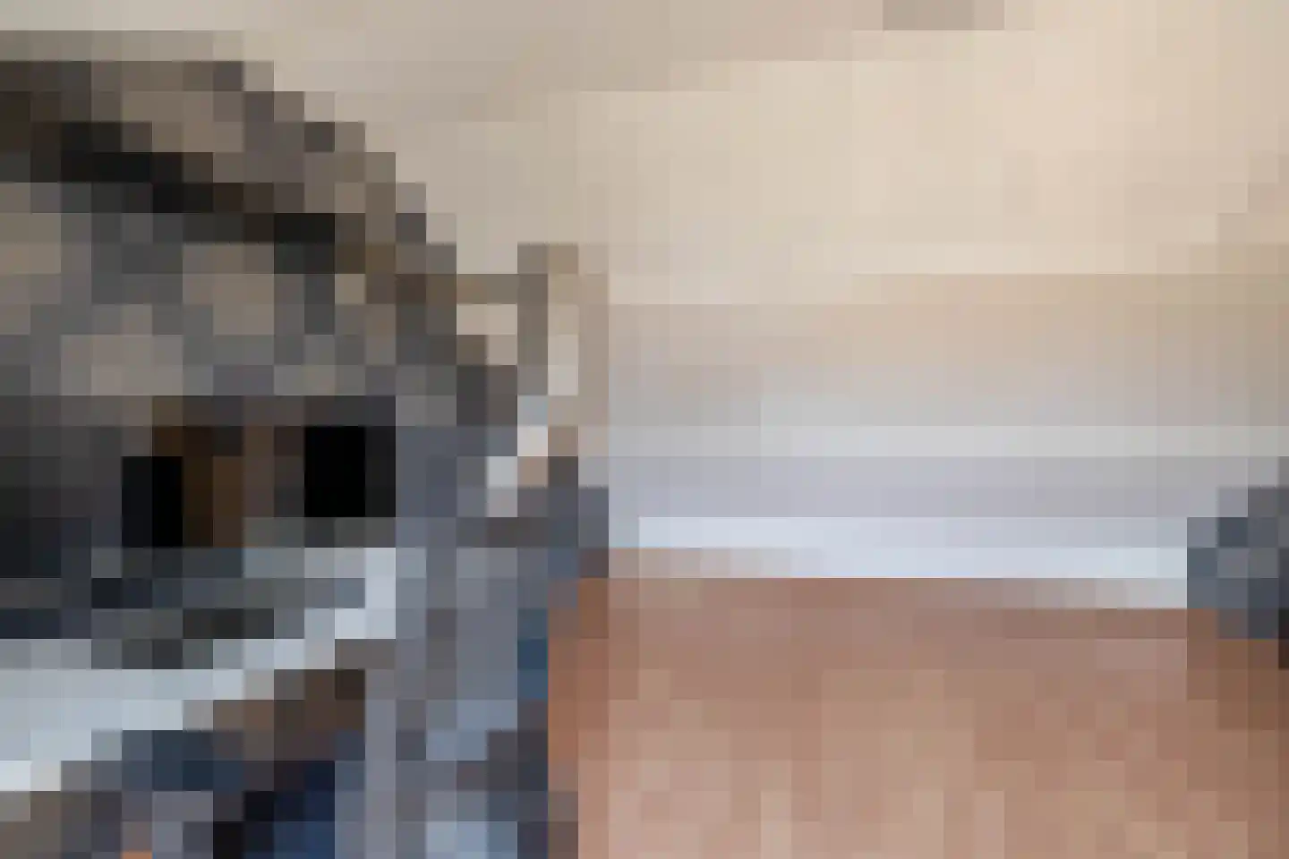 Neptunushof 21 Krimpen aan de Lek thumbnail 25