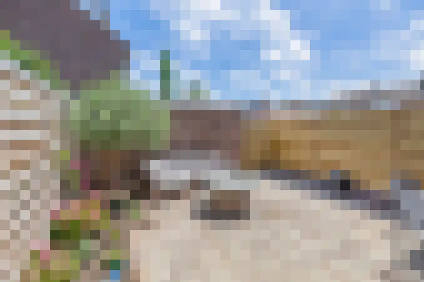 Neptunushof 21 Krimpen aan de Lek thumbnail 27