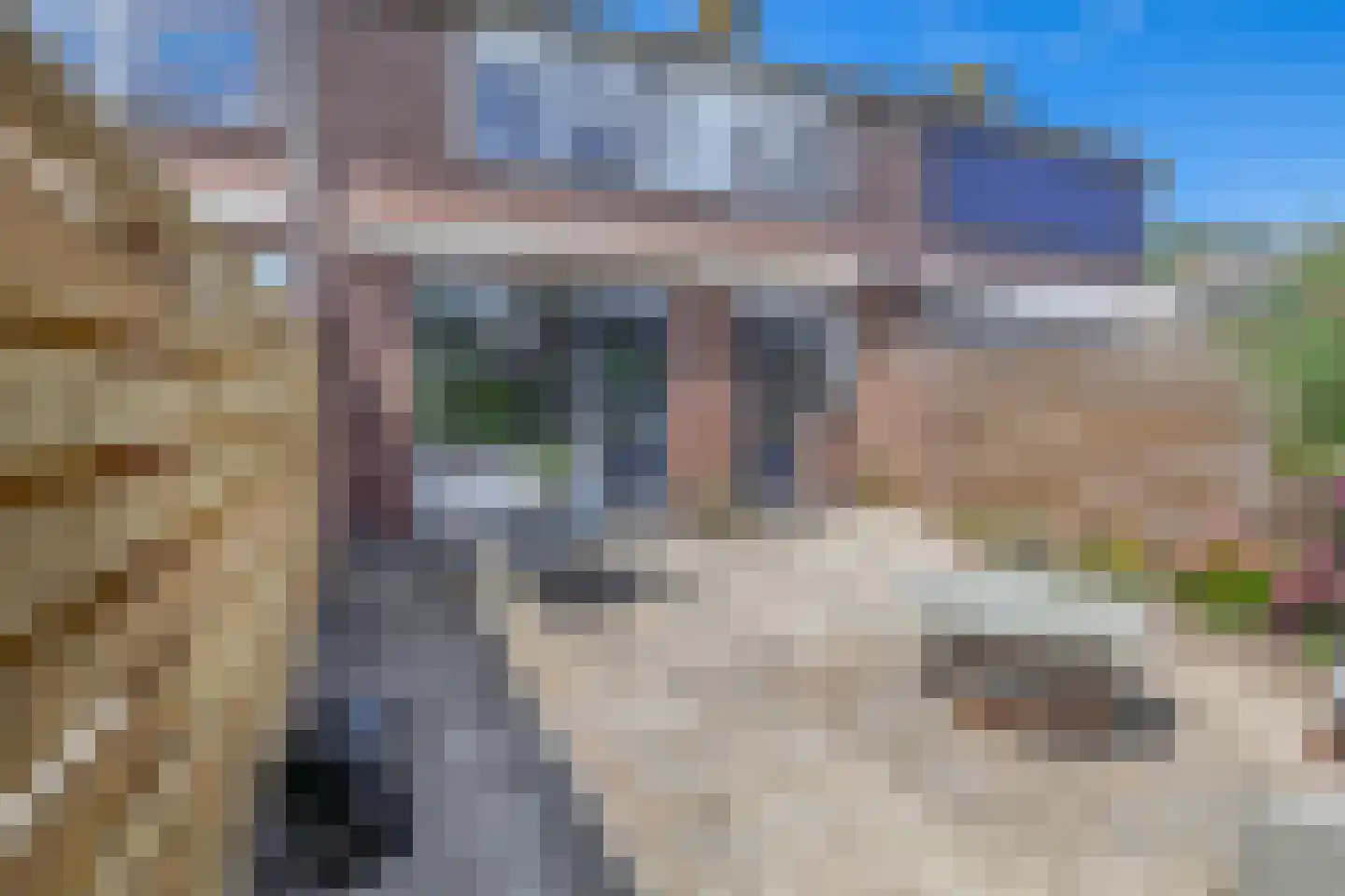 Neptunushof 21 Krimpen aan de Lek thumbnail 29