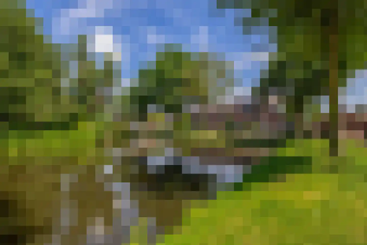 Neptunushof 21 Krimpen aan de Lek thumbnail 4