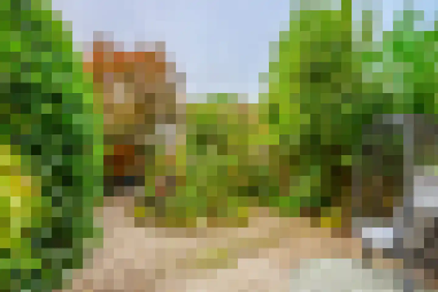 Neptunushof 3 Maarn thumbnail 29