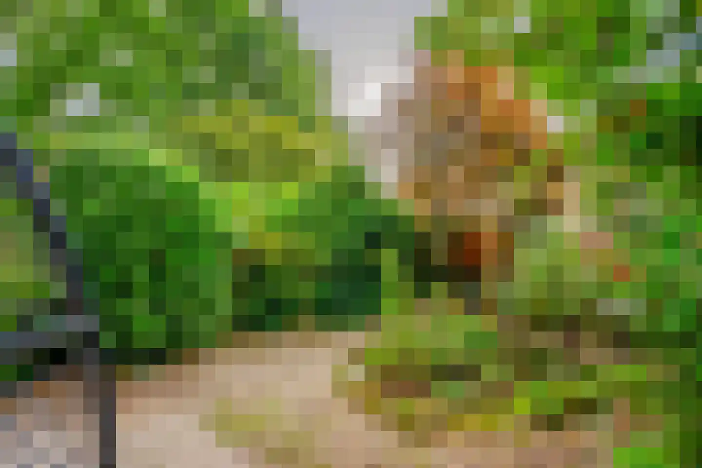 Neptunushof 3 Maarn thumbnail 30