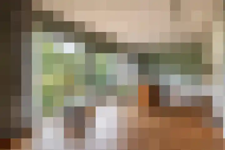 Neptunushof 54 Krimpen aan de Lek thumbnail 16