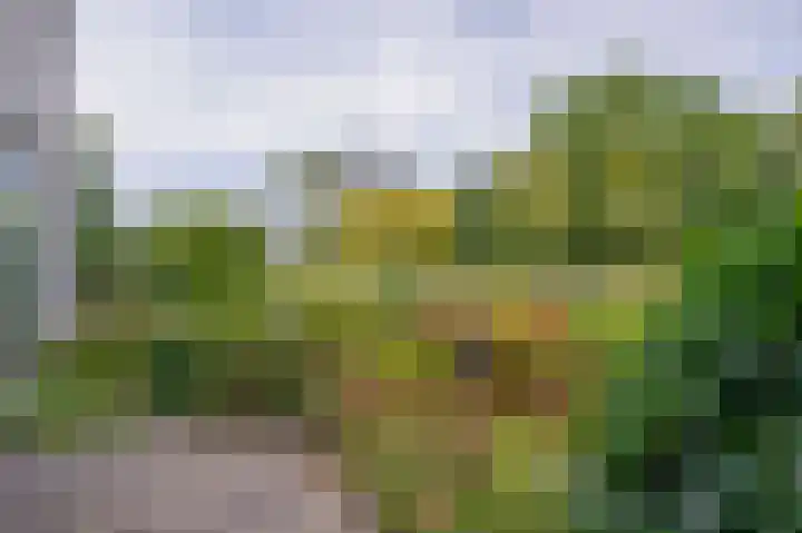 Neptunushof 54 Krimpen aan de Lek thumbnail 20