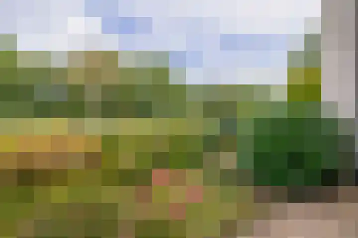 Neptunushof 54 Krimpen aan de Lek thumbnail 21