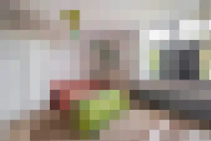 Neptunushof 54 Krimpen aan de Lek thumbnail 30