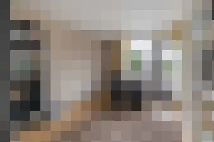 Neptunushof 54 Krimpen aan de Lek thumbnail 36