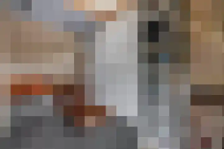 Neptunushof 54 Krimpen aan de Lek thumbnail 40