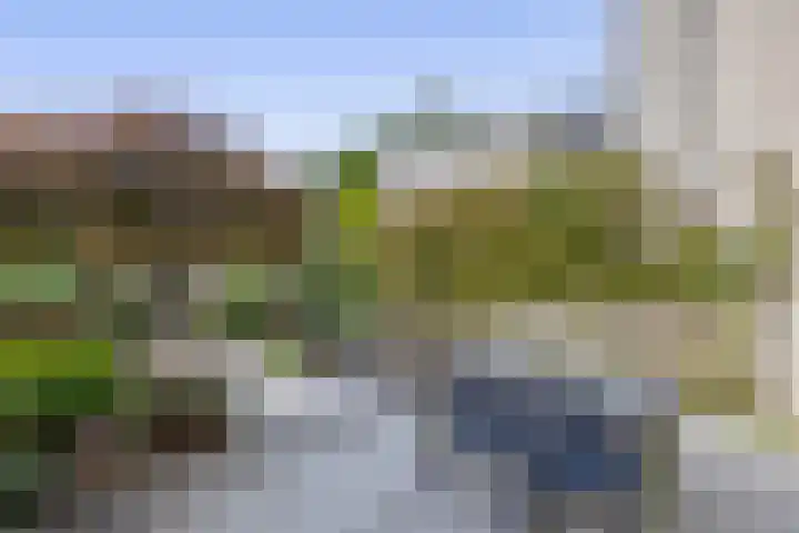 Neptunushof 54 Krimpen aan de Lek thumbnail 46