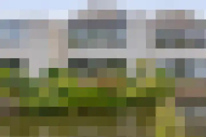Neptunushof 54 Krimpen aan de Lek thumbnail 47