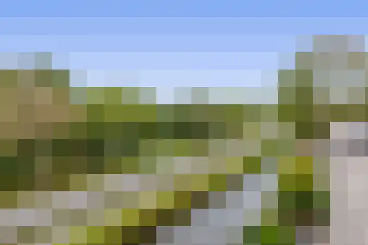 Neptunushof 54 Krimpen aan de Lek thumbnail 50