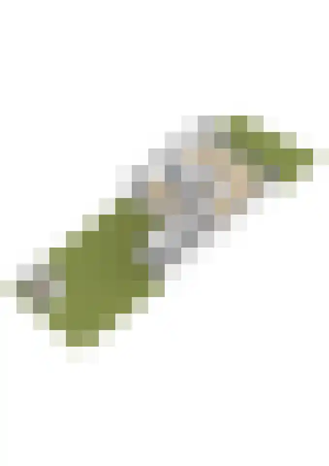 Neptunushof 54 Krimpen aan de Lek thumbnail 53