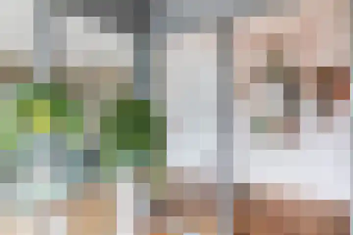 Neptunushof 54 Krimpen aan de Lek thumbnail 8