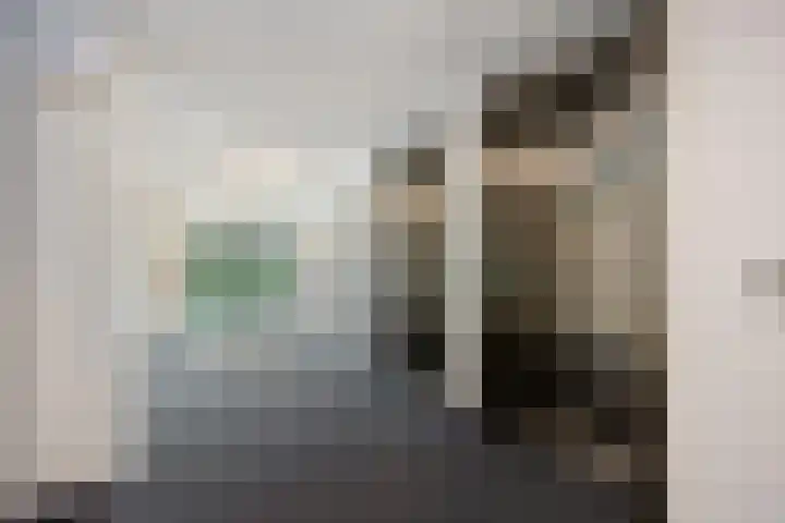 Neptunuskade 97 Leiden thumbnail 7