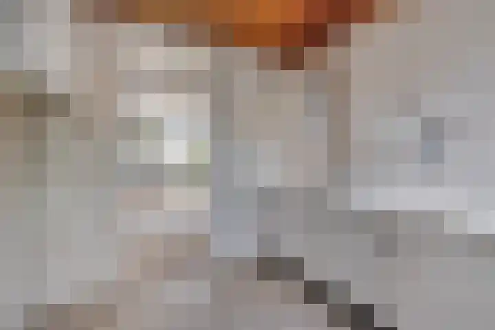 Neptunuslaan 112 Krommenie thumbnail 16