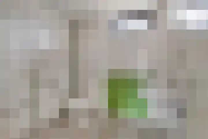 Neptunuslaan 112 Krommenie thumbnail 22