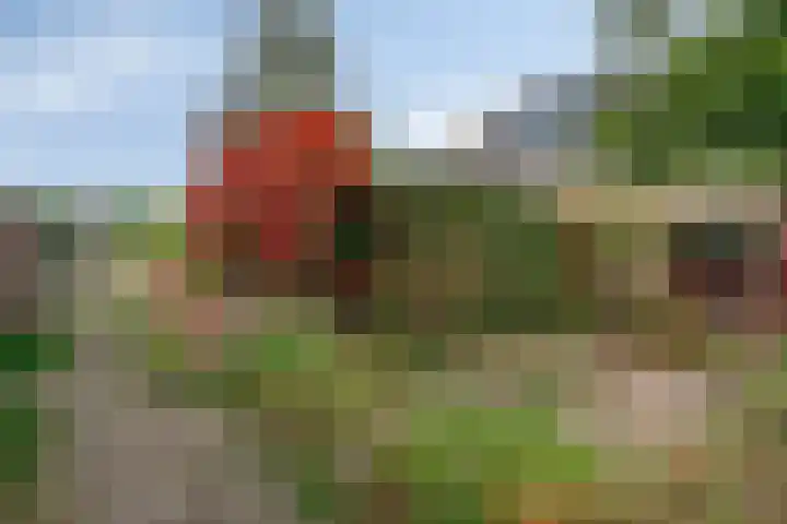 Neptunuslaan 112 Krommenie thumbnail 34