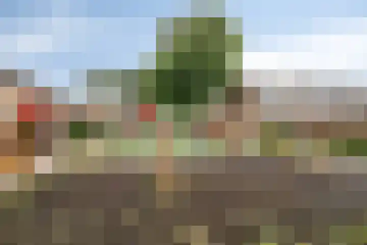 Neptunuslaan 112 Krommenie thumbnail 36