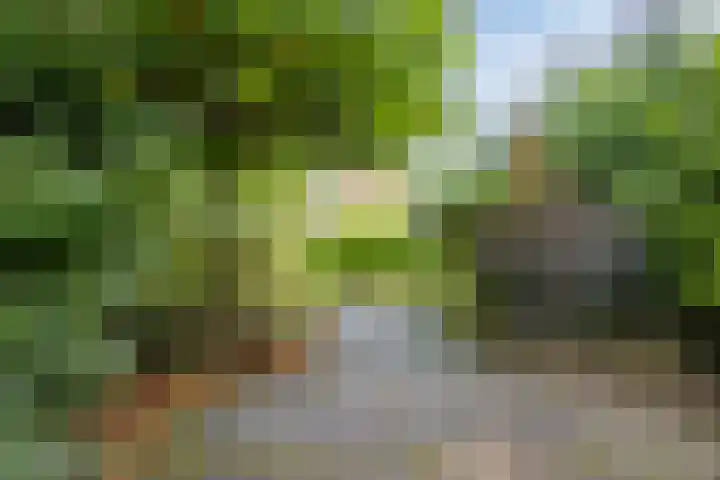 Neptunuslaan 170 Krommenie thumbnail 32