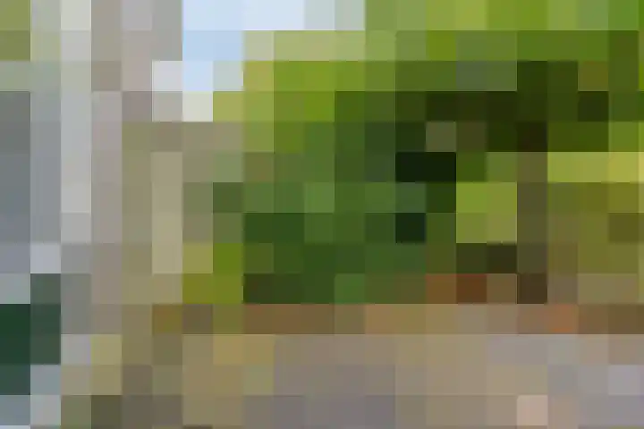 Neptunuslaan 170 Krommenie thumbnail 33