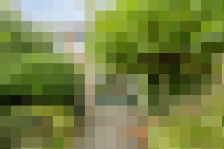 Neptunuslaan 170 Krommenie thumbnail 36