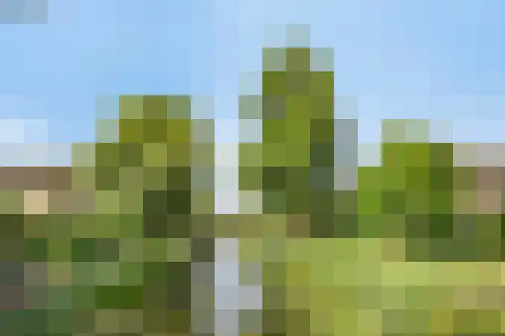 Neptunuslaan 170 Krommenie thumbnail 39