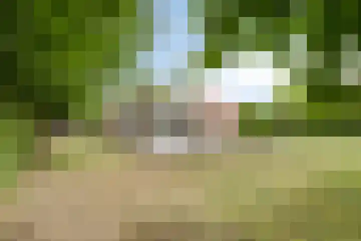 Neptunuslaan 18 Kamperland thumbnail 21
