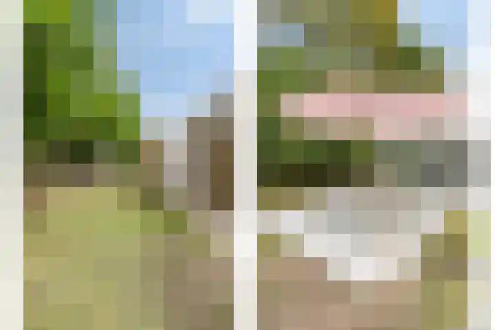Neptunuslaan 18 Kamperland thumbnail 22