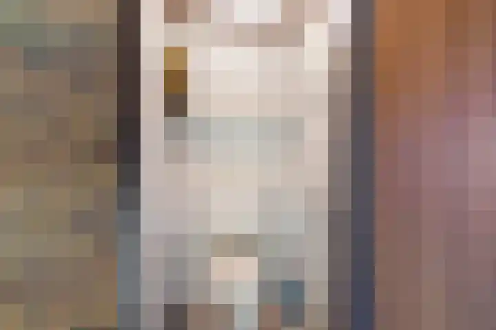 Neptunuslaan 26 Sint Nicolaasga thumbnail 28