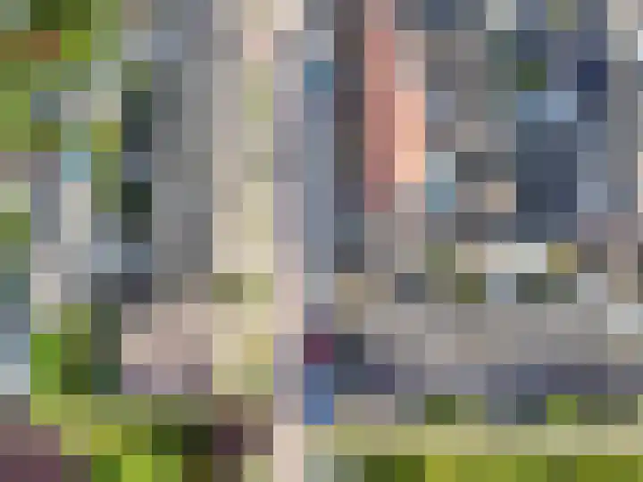 Neptunuslaan 40 Oude-Tonge thumbnail 29