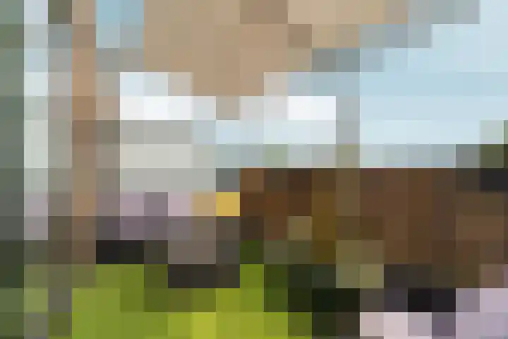 Neptunussingel 36 Almere thumbnail 33