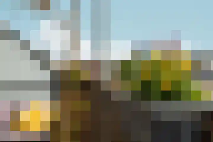 Neptunussingel 36 Almere thumbnail 34