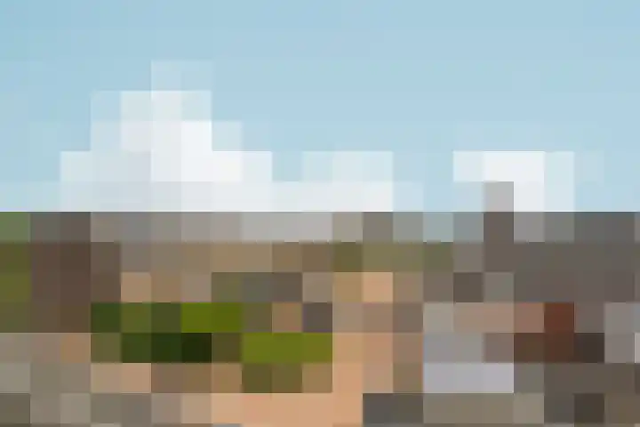 Neptunussingel 36 Almere thumbnail 35