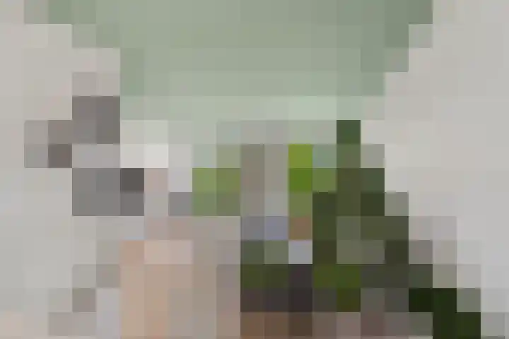 Neptunussingel 36 Almere thumbnail 37