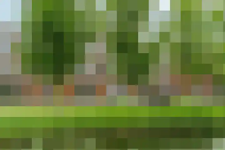 Neptunussingel 36 Almere thumbnail 41